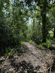 Quite dry when we we here, but this path can get very muddy